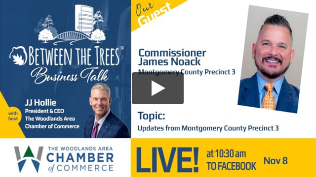 Between The Trees Business Talk - 124 - Commissioner James Noack