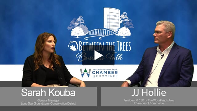 Between The Trees Business Talk - 125 - Sarah Kouba