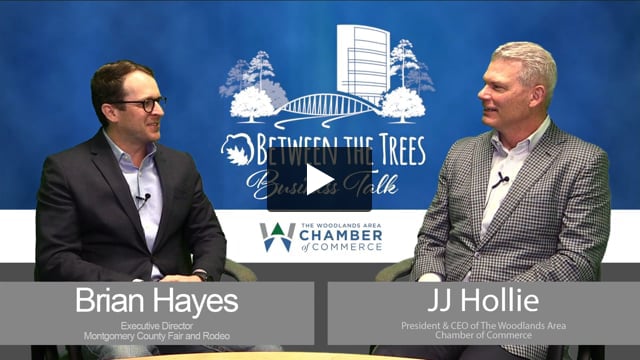 Between The Trees Business Talk - 129 - Brian Hayes