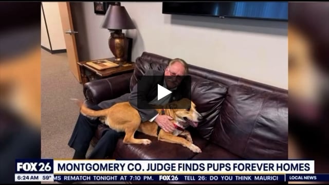 Montgomery County Judge, Mark Keough, Finds Pups Forever Homes
